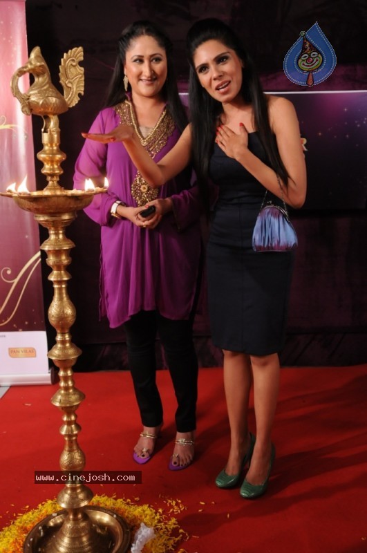 Bolly Celebs at Star Parivaar Awards 2010 - 8 / 52 photos