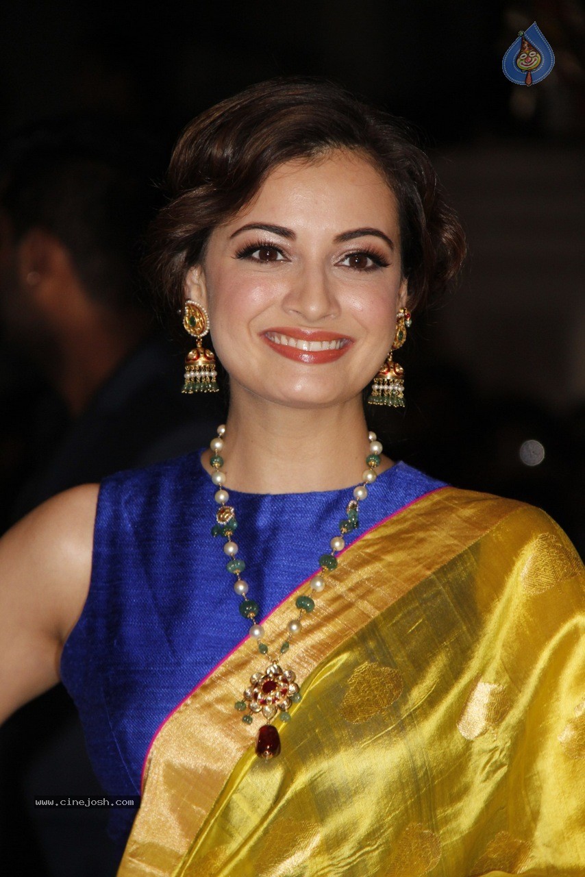 Bolly Celebs at The 60th Britannia Filmfare 2014 Awards 01 - 144 / 144 photos