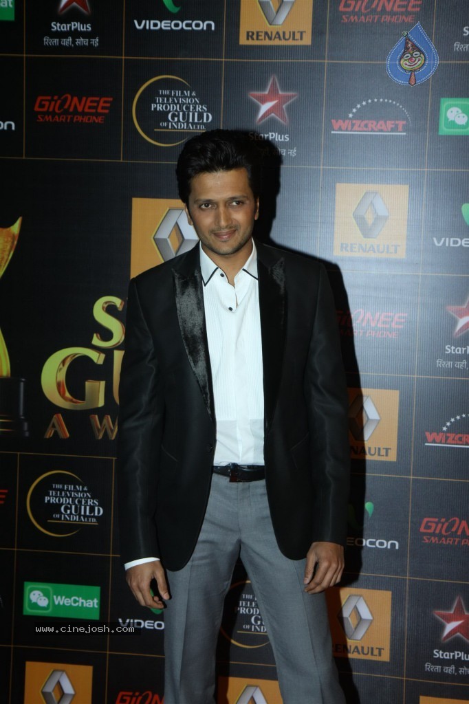 Bolly Celebs at the 9th Renault Star Guild Awards - 20 / 152 photos