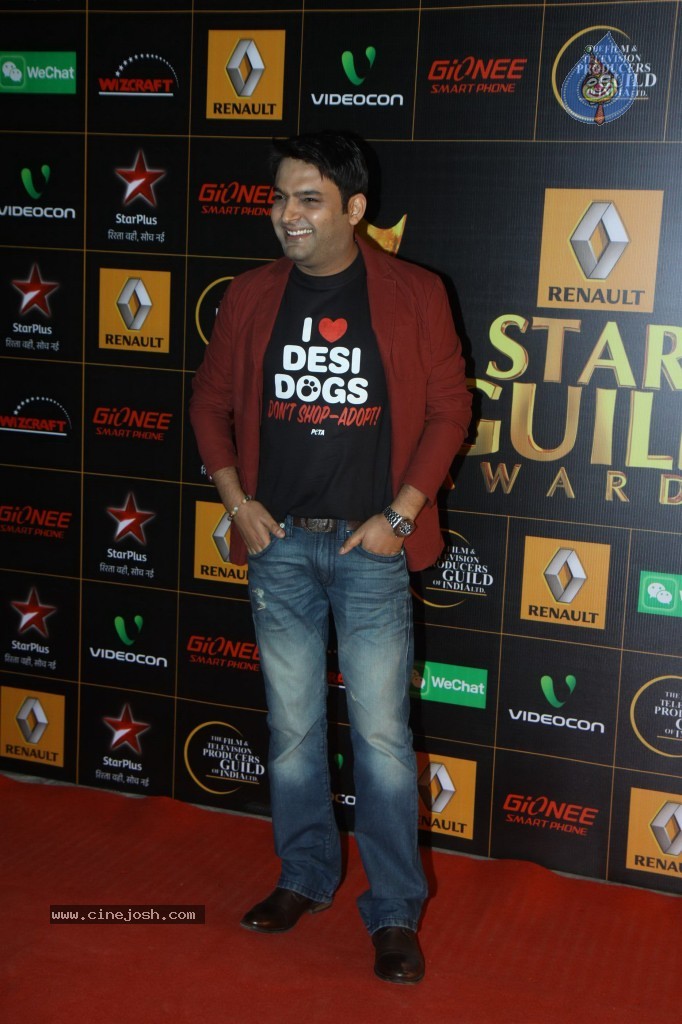 Bolly Celebs at the 9th Renault Star Guild Awards - 37 / 152 photos