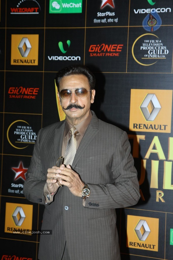 Bolly Celebs at the 9th Renault Star Guild Awards - 56 / 152 photos