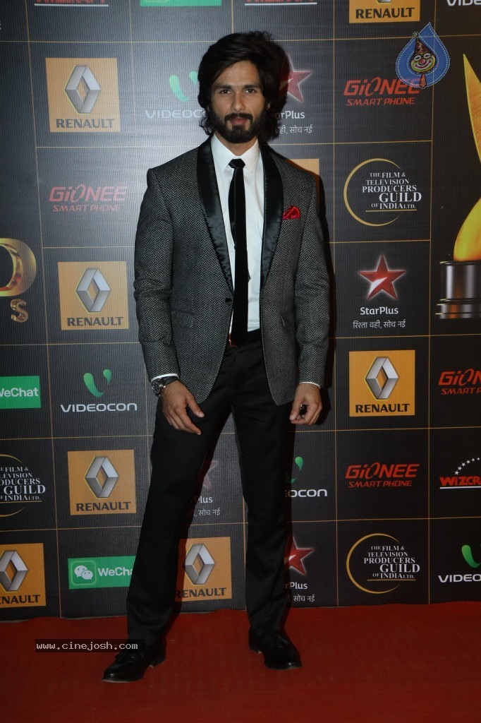 Bolly Celebs at the 9th Renault Star Guild Awards - 70 / 152 photos