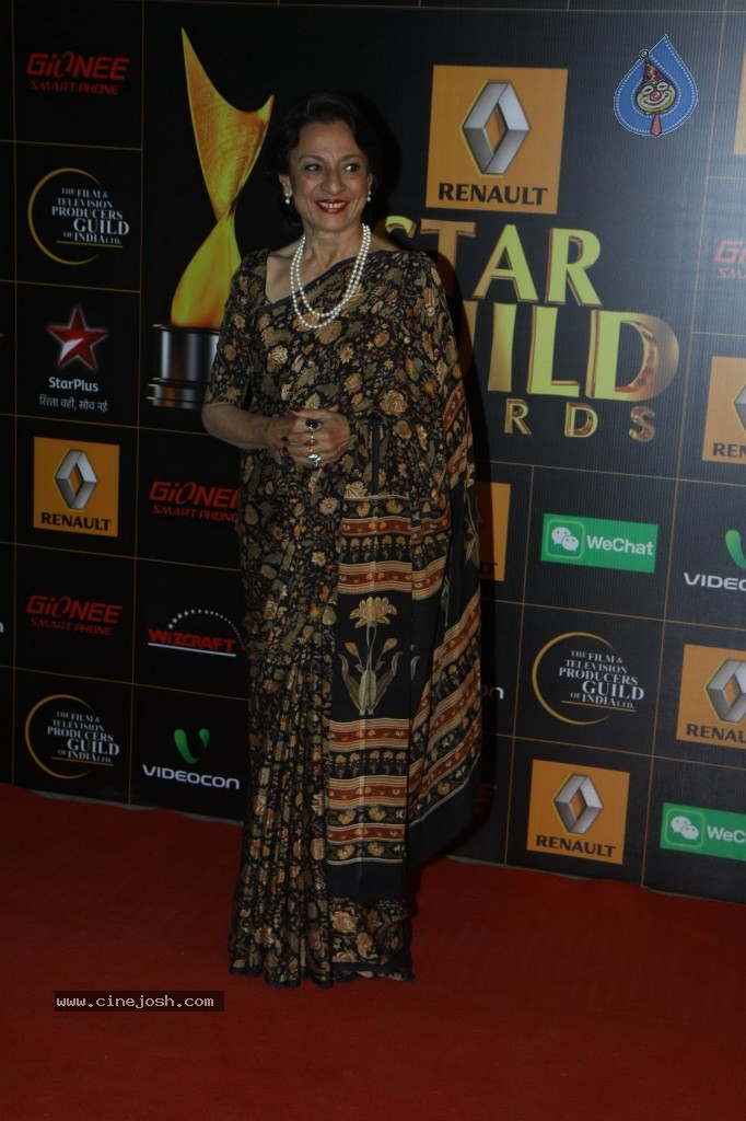 Bolly Celebs at the 9th Renault Star Guild Awards - 75 / 152 photos