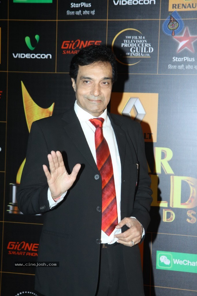 Bolly Celebs at the 9th Renault Star Guild Awards - 101 / 152 photos