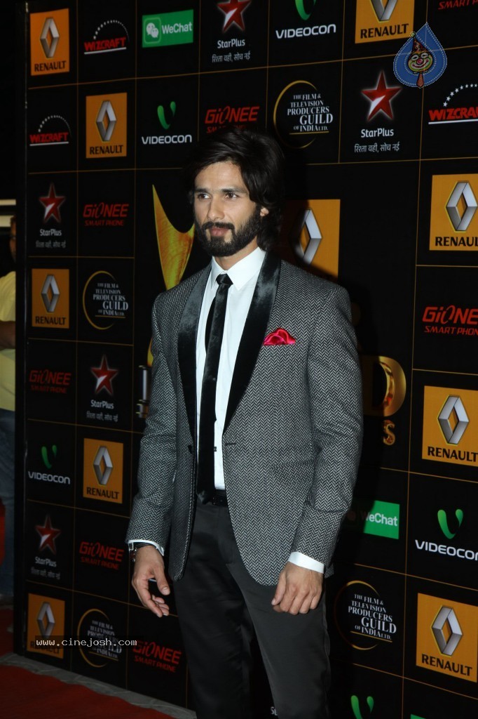 Bolly Celebs at the 9th Renault Star Guild Awards - 112 / 152 photos
