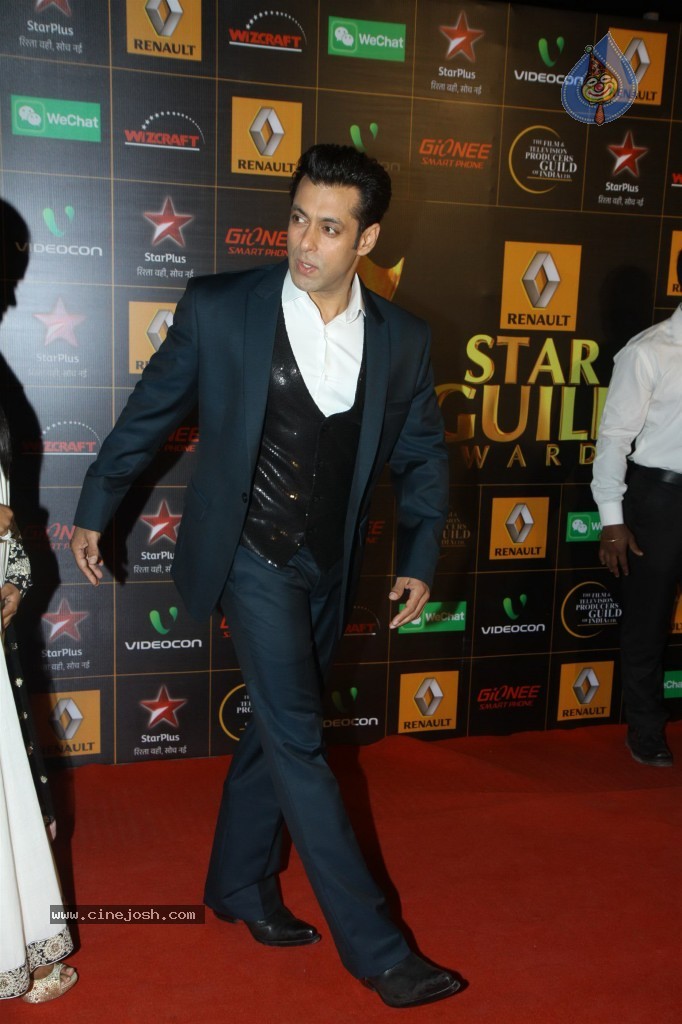 Bolly Celebs at the 9th Renault Star Guild Awards - 125 / 152 photos