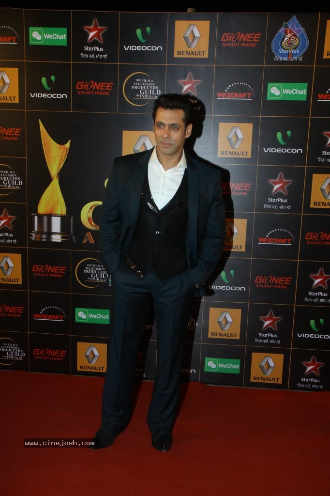 Bolly Celebs at the 9th Renault Star Guild Awards - 130 / 152 photos