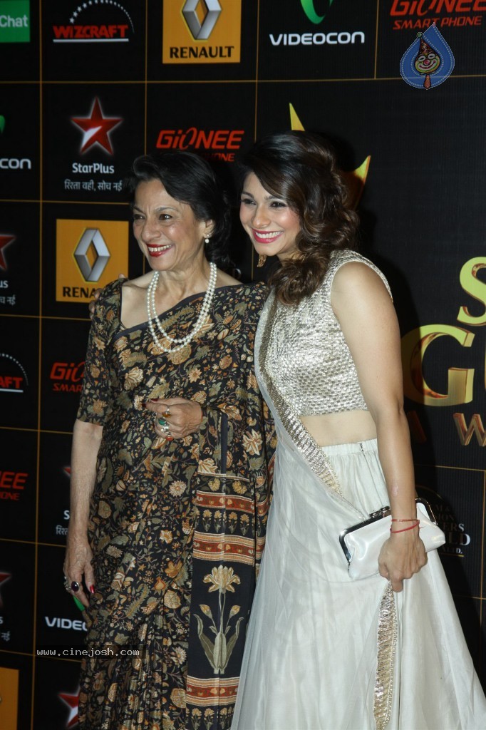 Bolly Celebs at the 9th Renault Star Guild Awards - 138 / 152 photos