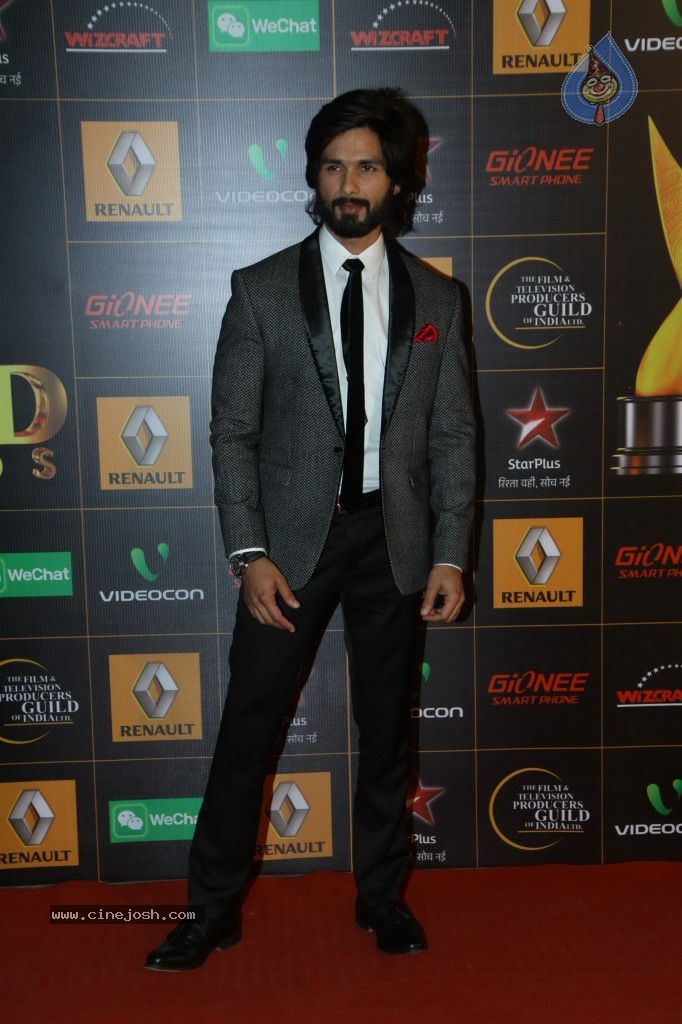 Bolly Celebs at the 9th Renault Star Guild Awards - 141 / 152 photos