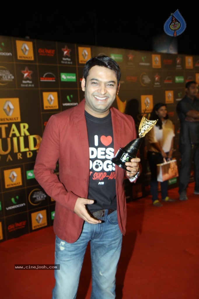 Bolly Celebs at the 9th Renault Star Guild Awards - 147 / 152 photos