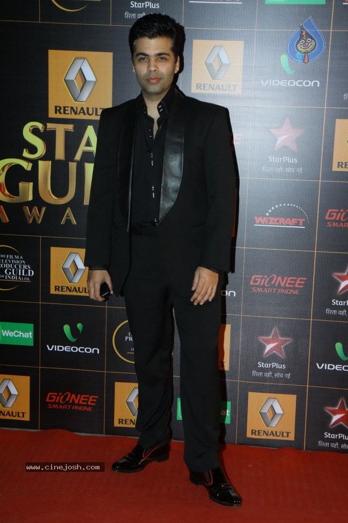 Bolly Celebs at the 9th Renault Star Guild Awards - 149 / 152 photos