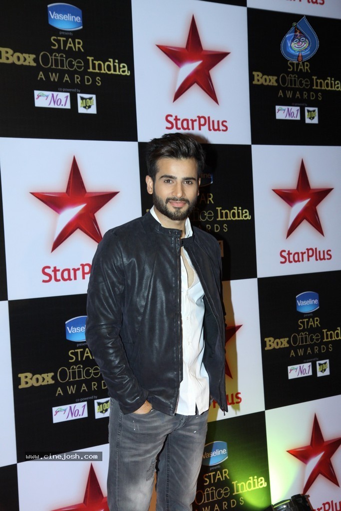 Bolly Celebs at The First Star Box Office India Awards - 6 / 90 photos