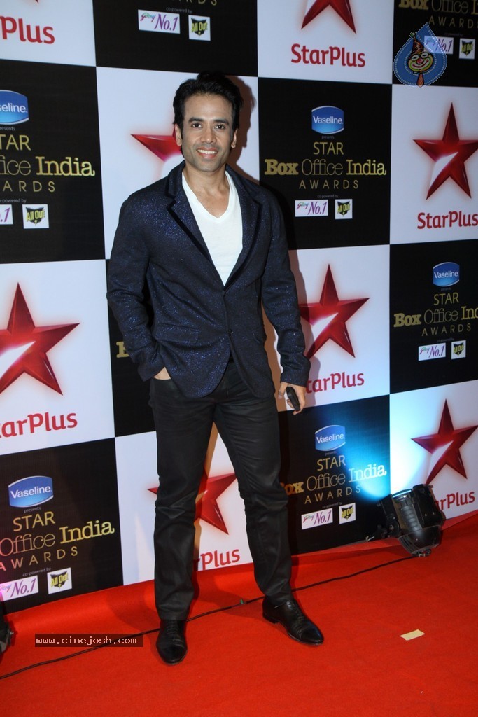 Bolly Celebs at The First Star Box Office India Awards - 18 / 90 photos