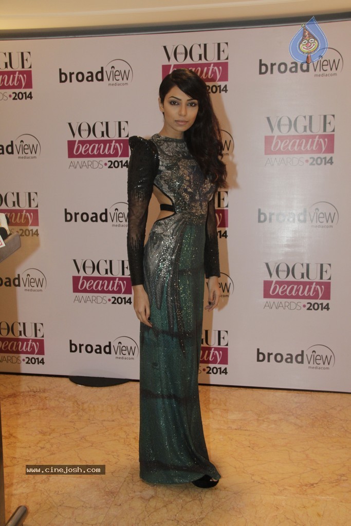 Bolly Celebs at VOGUE BEAUTY Awards 2014 - 13 / 47 photos