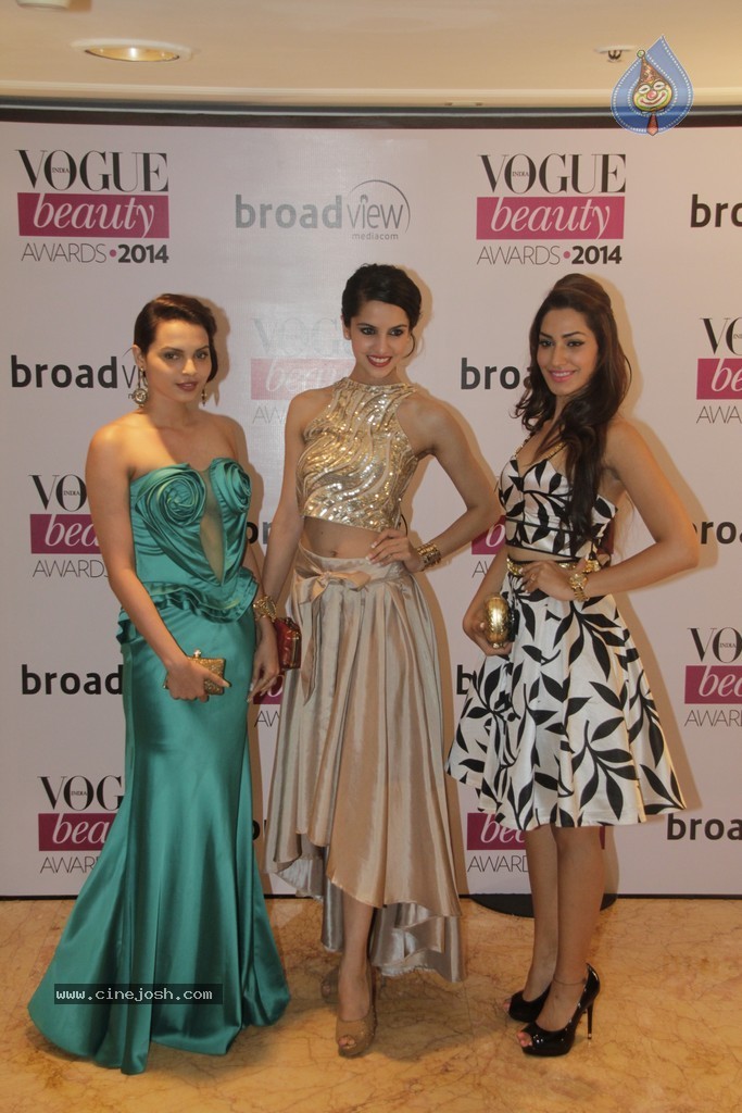 Bolly Celebs at VOGUE BEAUTY Awards 2014 - 39 / 47 photos