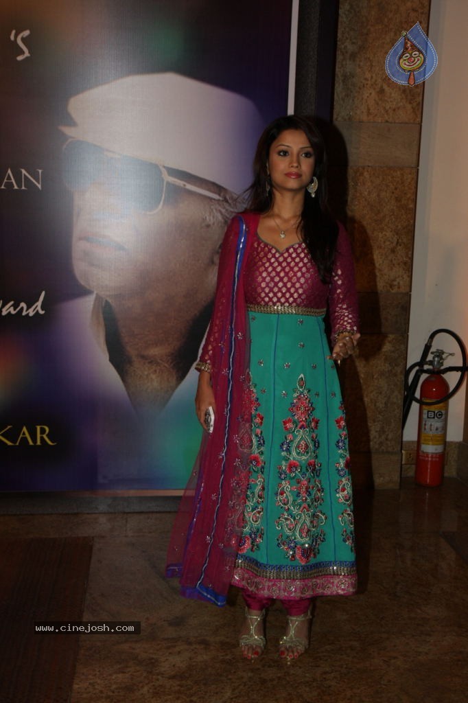 Bolly Celebs at Yash Chopra Memorial Awards - 33 / 125 photos