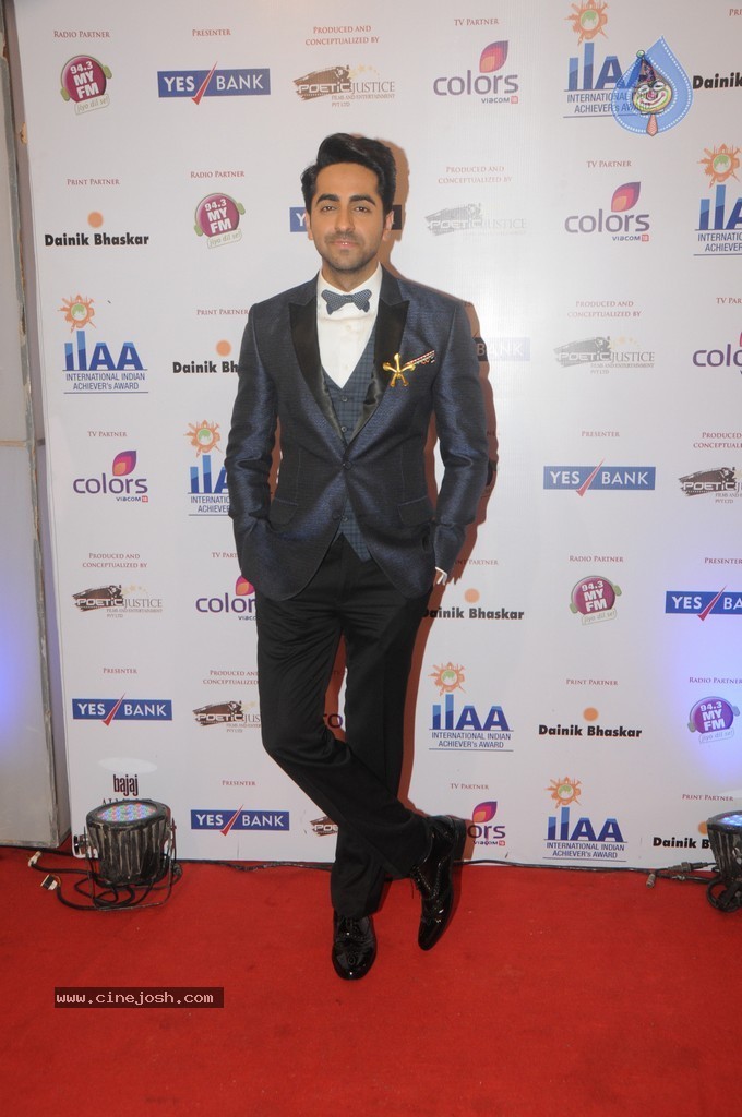 Bolly Celebs at Yes Bank Presents IIAA 2014 - 1 / 135 photos