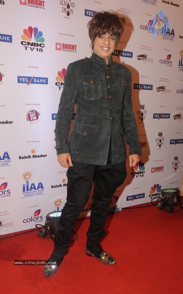 Bolly Celebs at Yes Bank Presents IIAA 2014 - 5 / 135 photos
