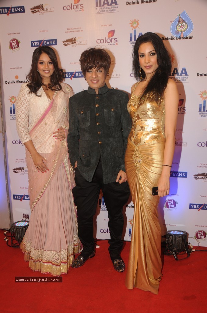 Bolly Celebs at Yes Bank Presents IIAA 2014 - 24 / 135 photos
