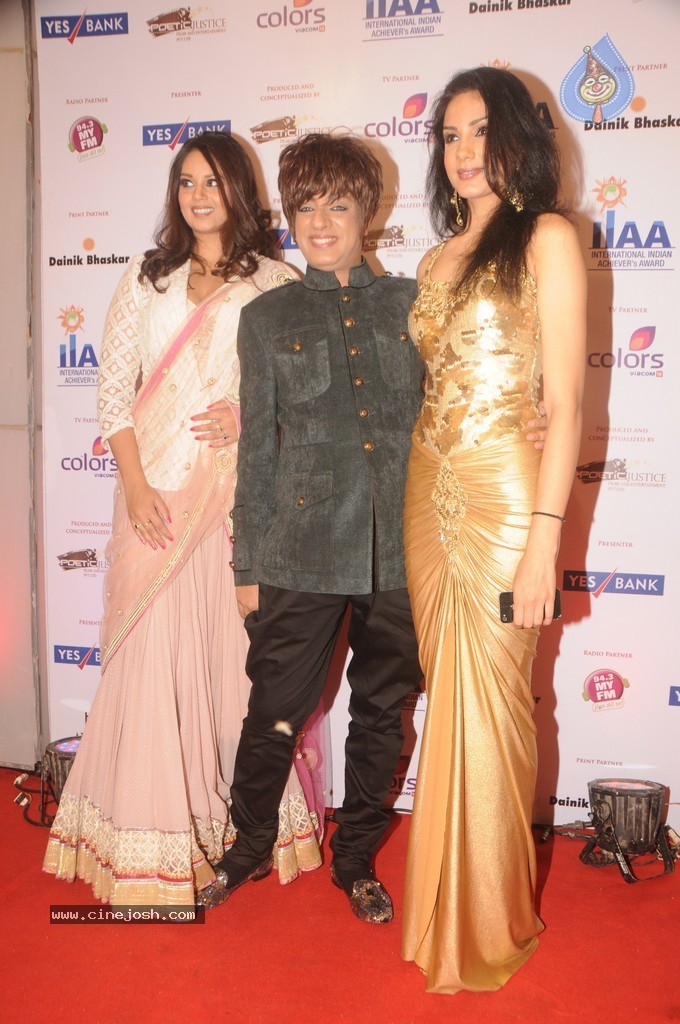 Bolly Celebs at Yes Bank Presents IIAA 2014 - 32 / 135 photos