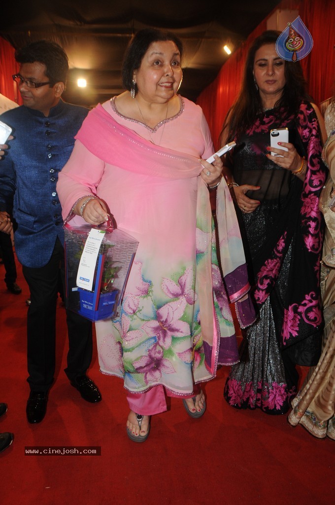 Bolly Celebs at Yes Bank Presents IIAA 2014 - 37 / 135 photos