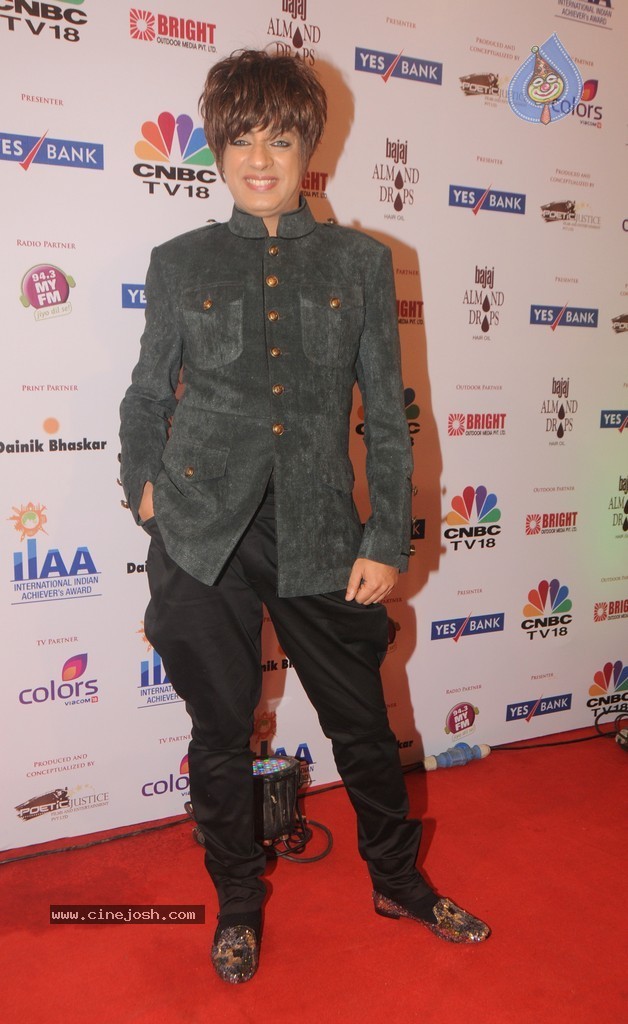 Bolly Celebs at Yes Bank Presents IIAA 2014 - 59 / 135 photos