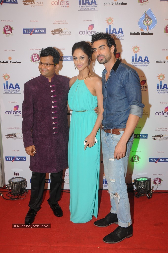Bolly Celebs at Yes Bank Presents IIAA 2014 - 115 / 135 photos