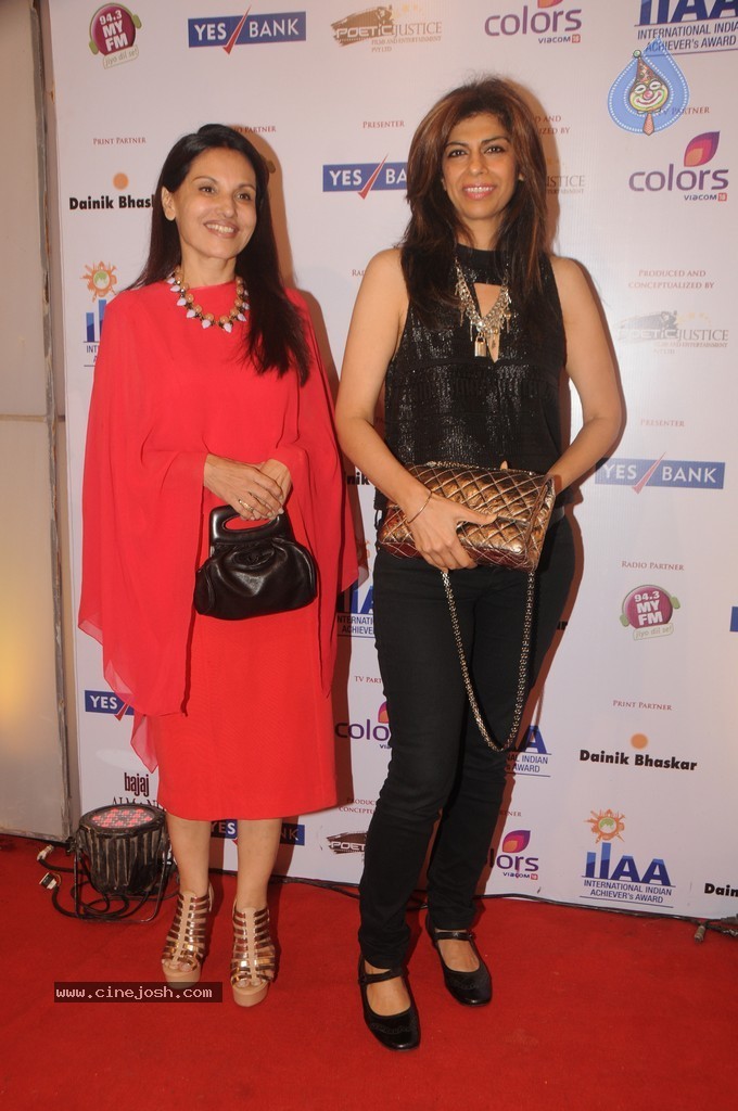 Bolly Celebs at Yes Bank Presents IIAA 2014 - 133 / 135 photos