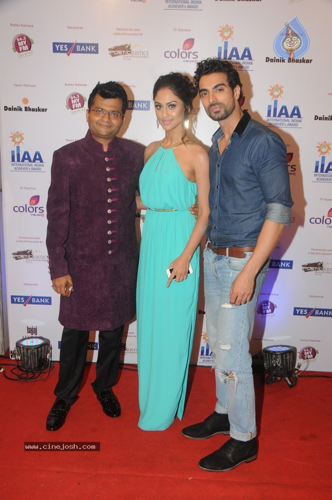 Bolly Celebs at Yes Bank Presents IIAA 2014 - 135 / 135 photos