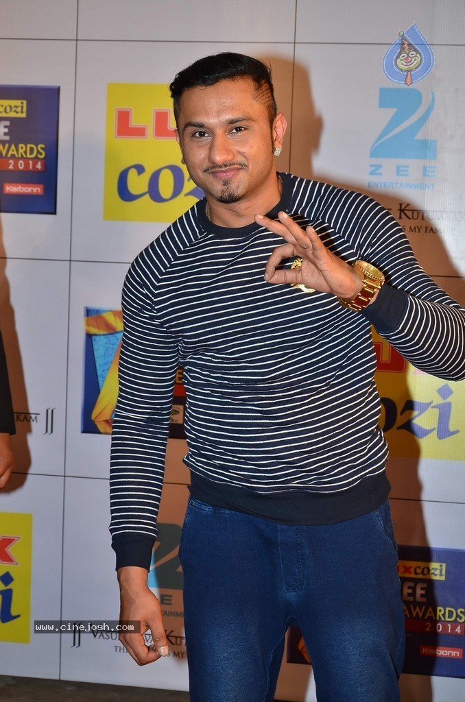 Hot Celebs at Zee Cine Awards 2014 - 6 / 74 photos