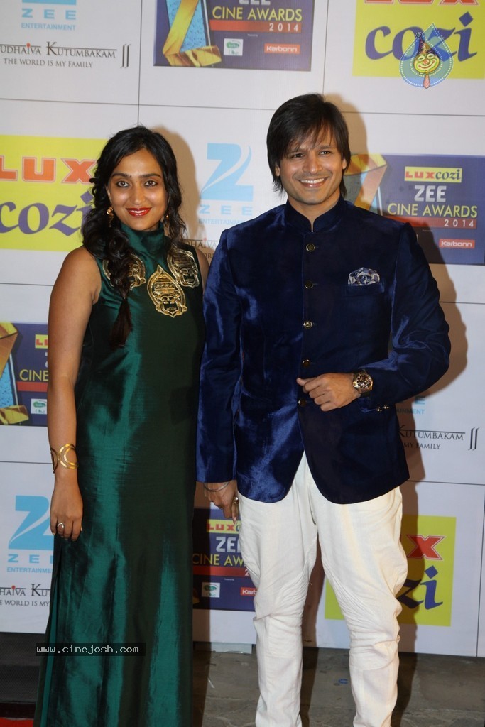 Hot Celebs at Zee Cine Awards 2014 - 33 / 74 photos