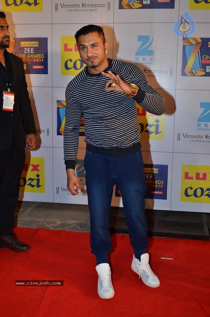 Hot Celebs at Zee Cine Awards 2014 - 36 / 74 photos