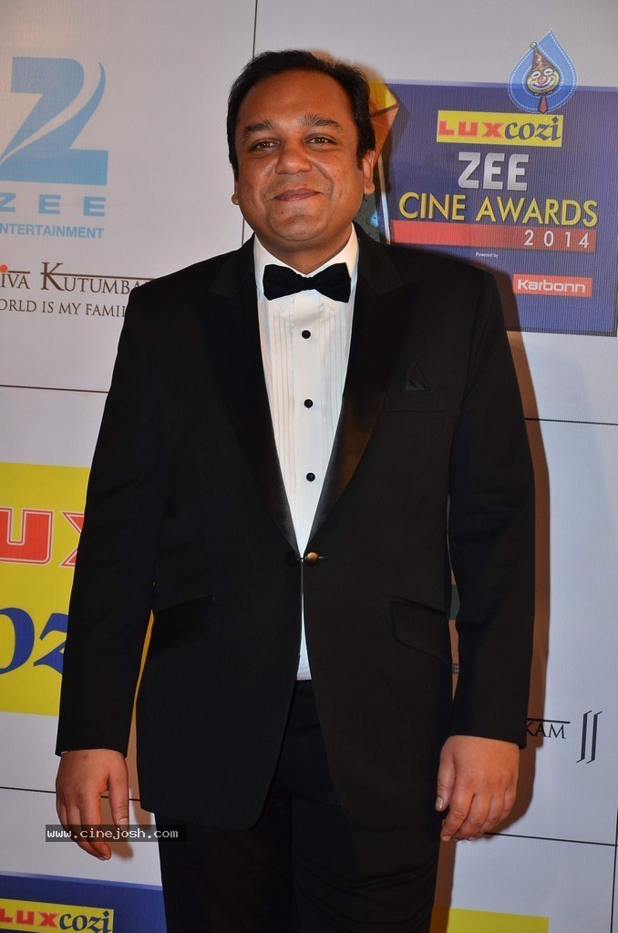 Hot Celebs at Zee Cine Awards 2014 - 37 / 74 photos