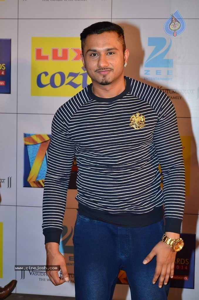 Hot Celebs at Zee Cine Awards 2014 - 41 / 74 photos