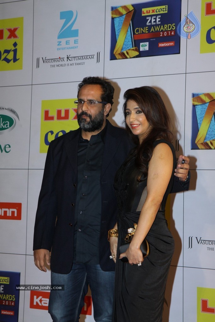 Hot Celebs at Zee Cine Awards 2014 - 45 / 74 photos