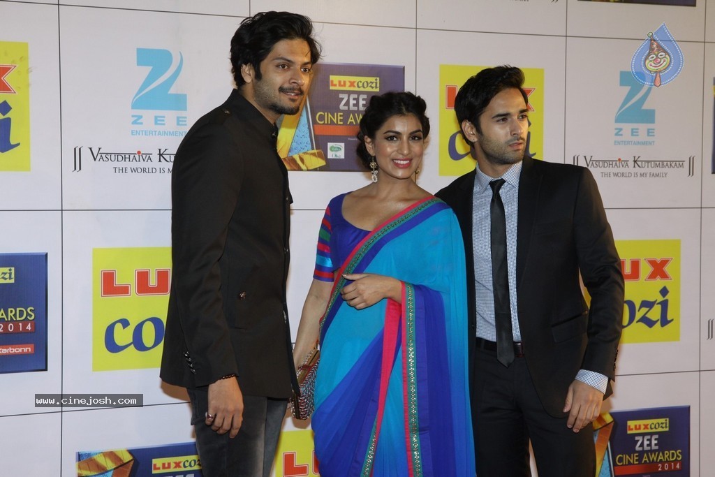 Hot Celebs at Zee Cine Awards 2014 - 47 / 74 photos