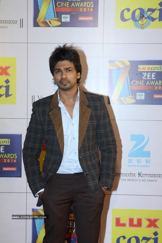Hot Celebs at Zee Cine Awards 2014 - 49 / 74 photos