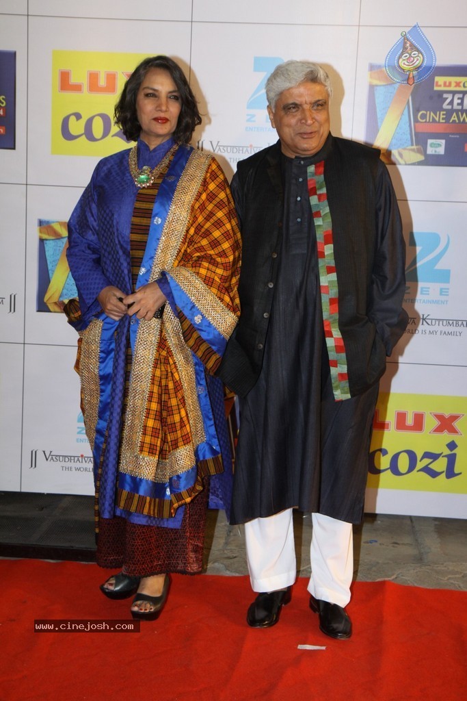 Hot Celebs at Zee Cine Awards 2014 - 51 / 74 photos