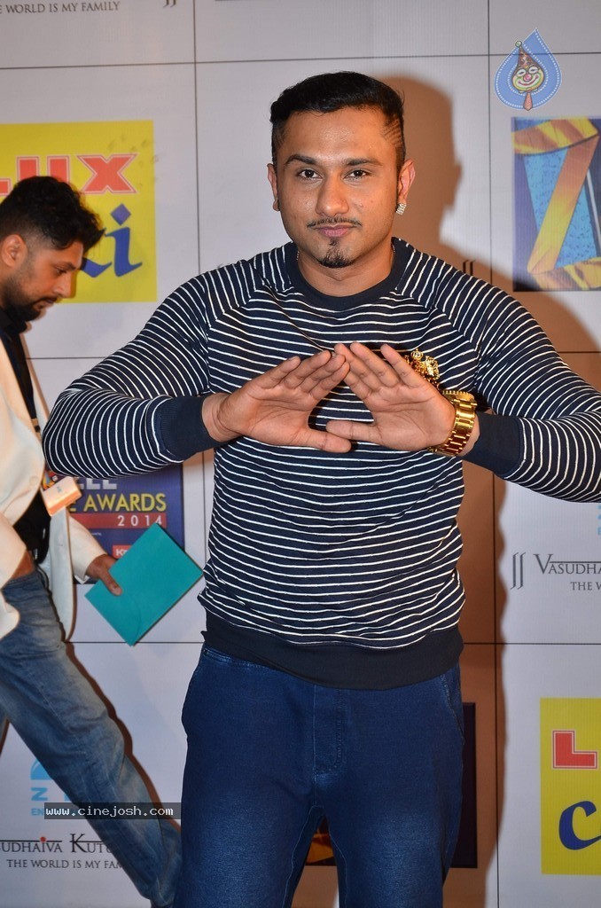 Hot Celebs at Zee Cine Awards 2014 - 70 / 74 photos