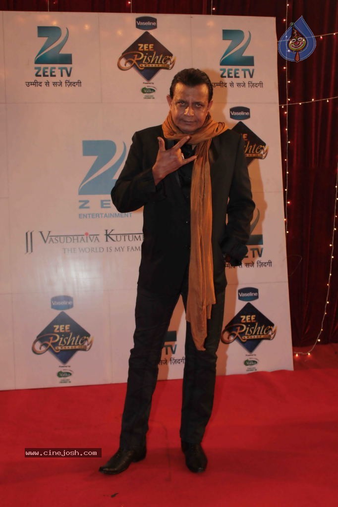 Bolly Celebs at Zee Rishtey Awards 2013 - 18 / 83 photos