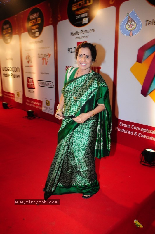 Bolly Celebs at ZEE Tv Boroplus Gold Awards - 4 / 34 photos