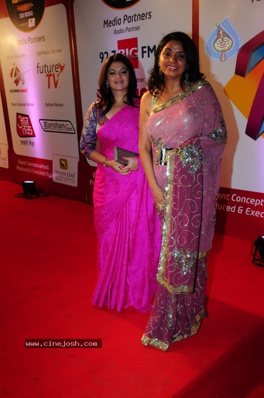 Bolly Celebs at ZEE Tv Boroplus Gold Awards - 16 / 34 photos