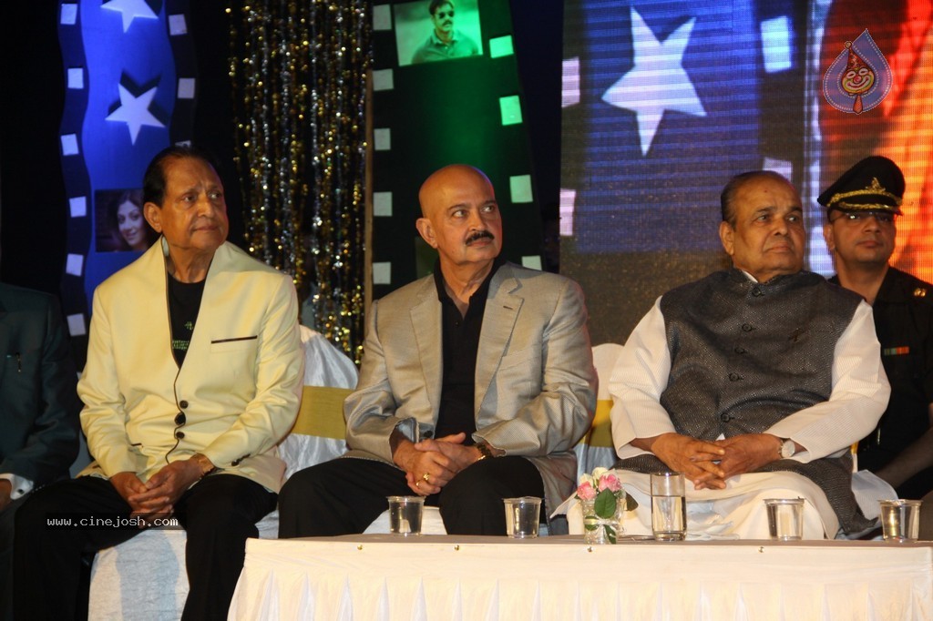 Bolly Celebs at Dadasaheb Phalke Academy Awards 2014 - 13 / 91 photos