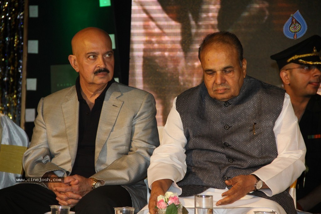 Bolly Celebs at Dadasaheb Phalke Academy Awards 2014 - 30 / 91 photos