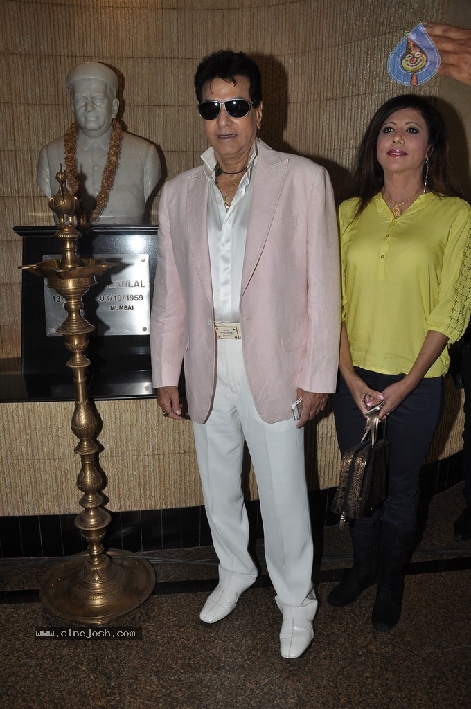 Bolly Celebs at Dadasaheb Phalke Academy Awards 2014 - 46 / 91 photos