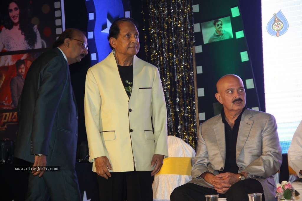 Bolly Celebs at Dadasaheb Phalke Academy Awards 2014 - 52 / 91 photos