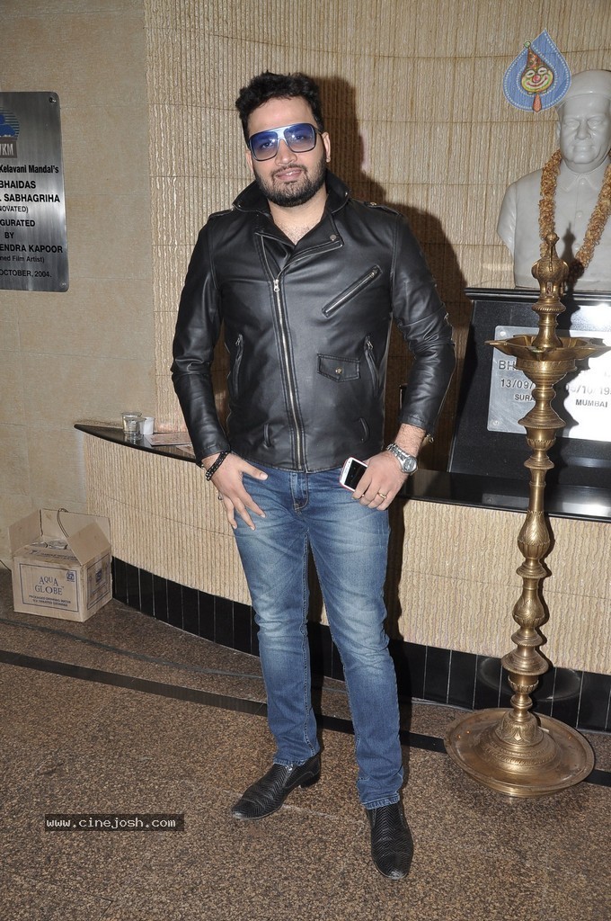 Bolly Celebs at Dadasaheb Phalke Academy Awards 2014 - 89 / 91 photos