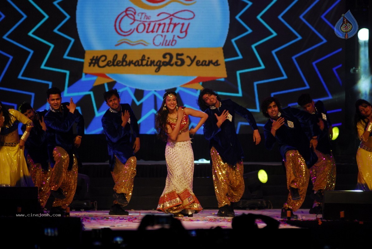 Bolly Celebs Perform at New Year Eve 2015 Celebrations - 4 / 107 photos