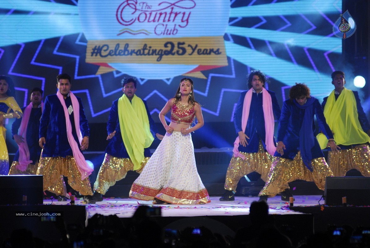 Bolly Celebs Perform at New Year Eve 2015 Celebrations - 5 / 107 photos