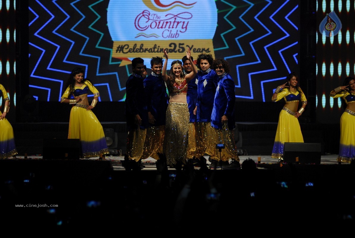 Bolly Celebs Perform at New Year Eve 2015 Celebrations - 24 / 107 photos